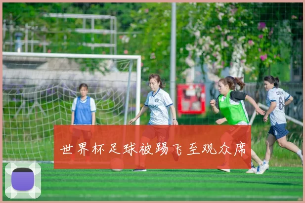 世界杯足球被踢飞至观众席