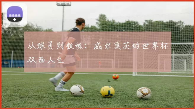 从球员到教练：威尔莫茨的世界杯双面人生