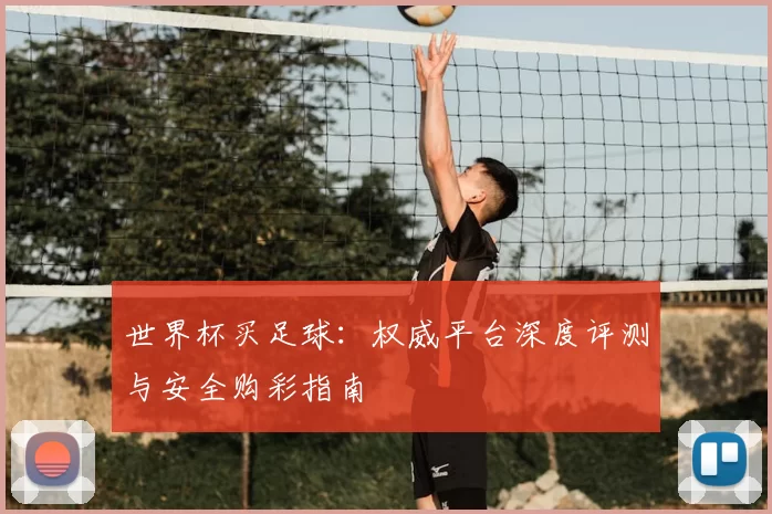 世界杯买足球：权威平台深度评测与安全购彩指南