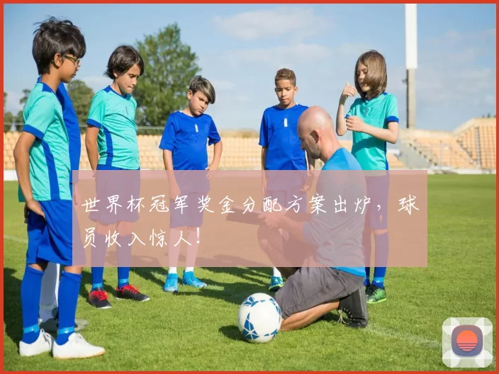 世界杯冠军奖金分配方案出炉，球员收入惊人！