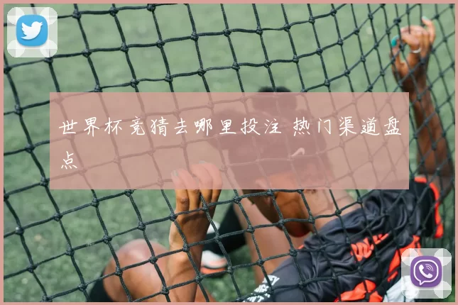 世界杯竞猜去哪里投注 热门渠道盘点