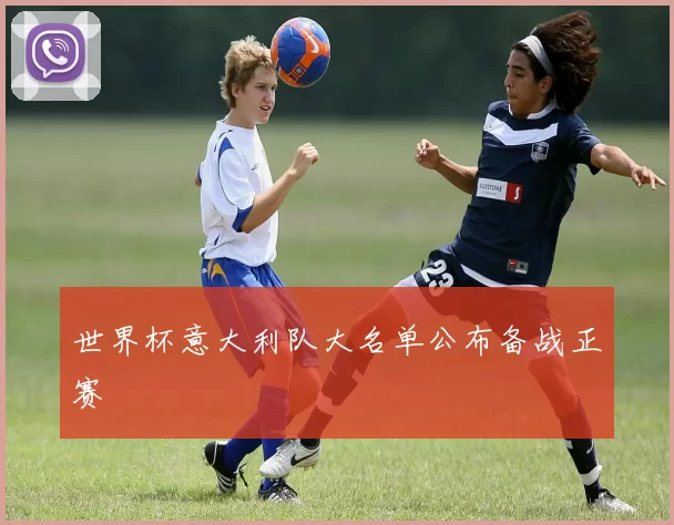 世界杯意大利队大名单公布备战正赛
