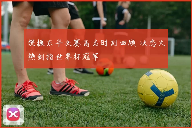 樊振东半决赛高光时刻回顾 状态火热剑指世界杯冠军