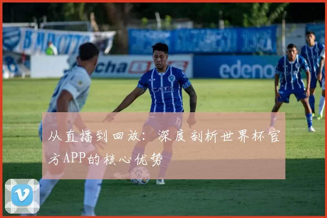 从直播到回放：深度剖析世界杯官方APP的核心优势