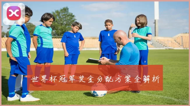 世界杯冠军奖金分配方案全解析