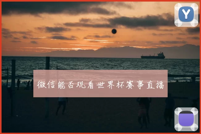微信能否观看世界杯赛事直播