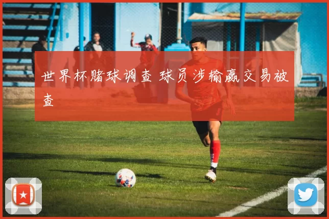 世界杯赌球调查 球员涉输赢交易被查