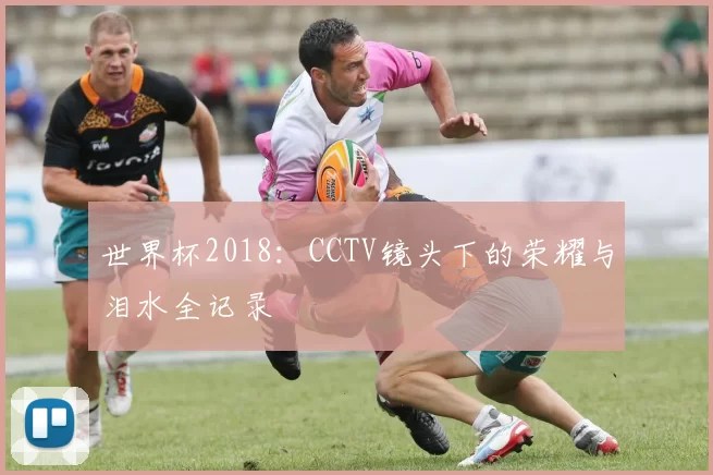 世界杯2018：CCTV镜头下的荣耀与泪水全记录