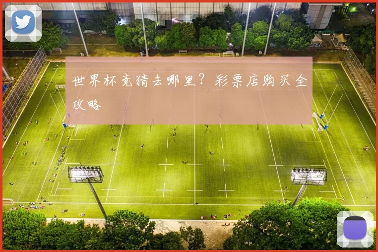 世界杯竞猜去哪里？彩票店购买全攻略