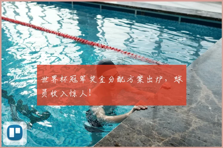 世界杯冠军奖金分配方案出炉，球员收入惊人！