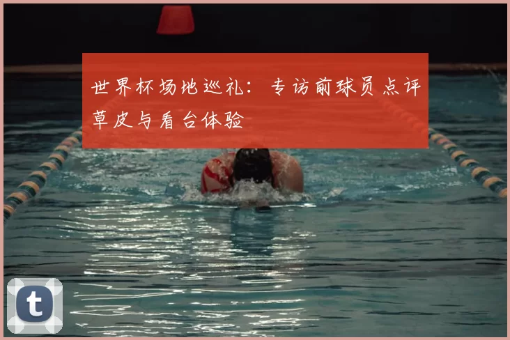 世界杯场地巡礼：专访前球员点评草皮与看台体验