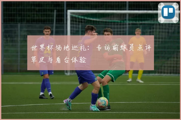 世界杯场地巡礼：专访前球员点评草皮与看台体验